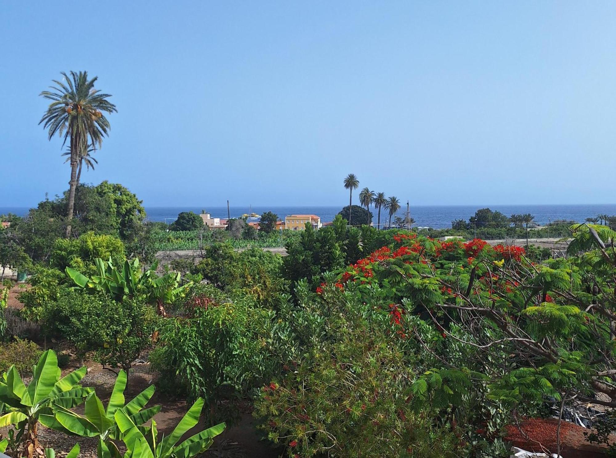 Apartamentos Bellavista Gomera Playa de Santiago  Esterno foto