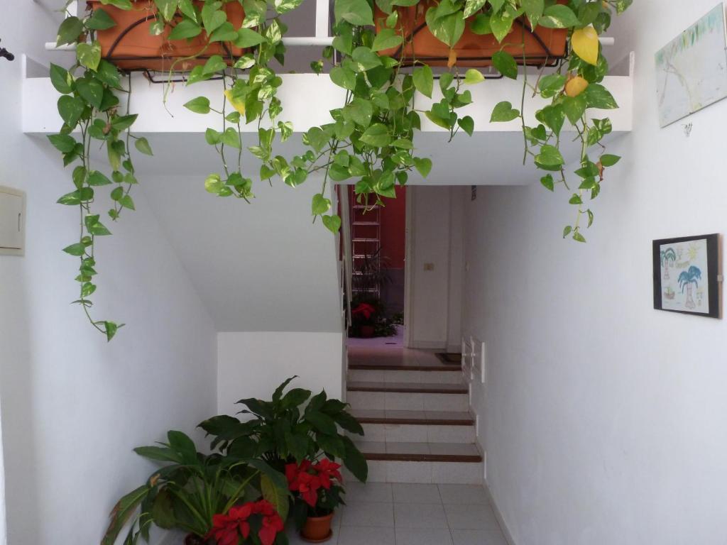 Apartamentos Bellavista Gomera Playa de Santiago  Esterno foto